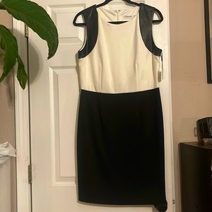 Calvin Klein Sheath Dress with Leather Cap Sleeves Size 12